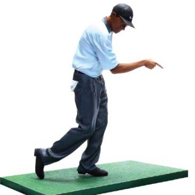Tiger Woods 7