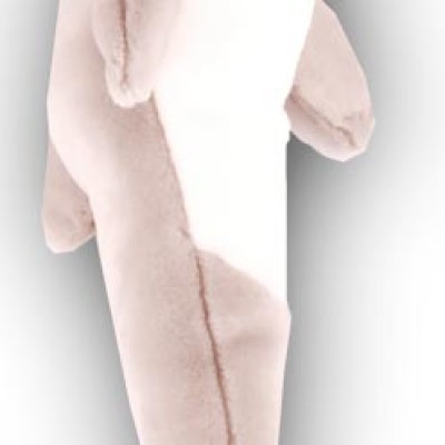 Dolphin 14